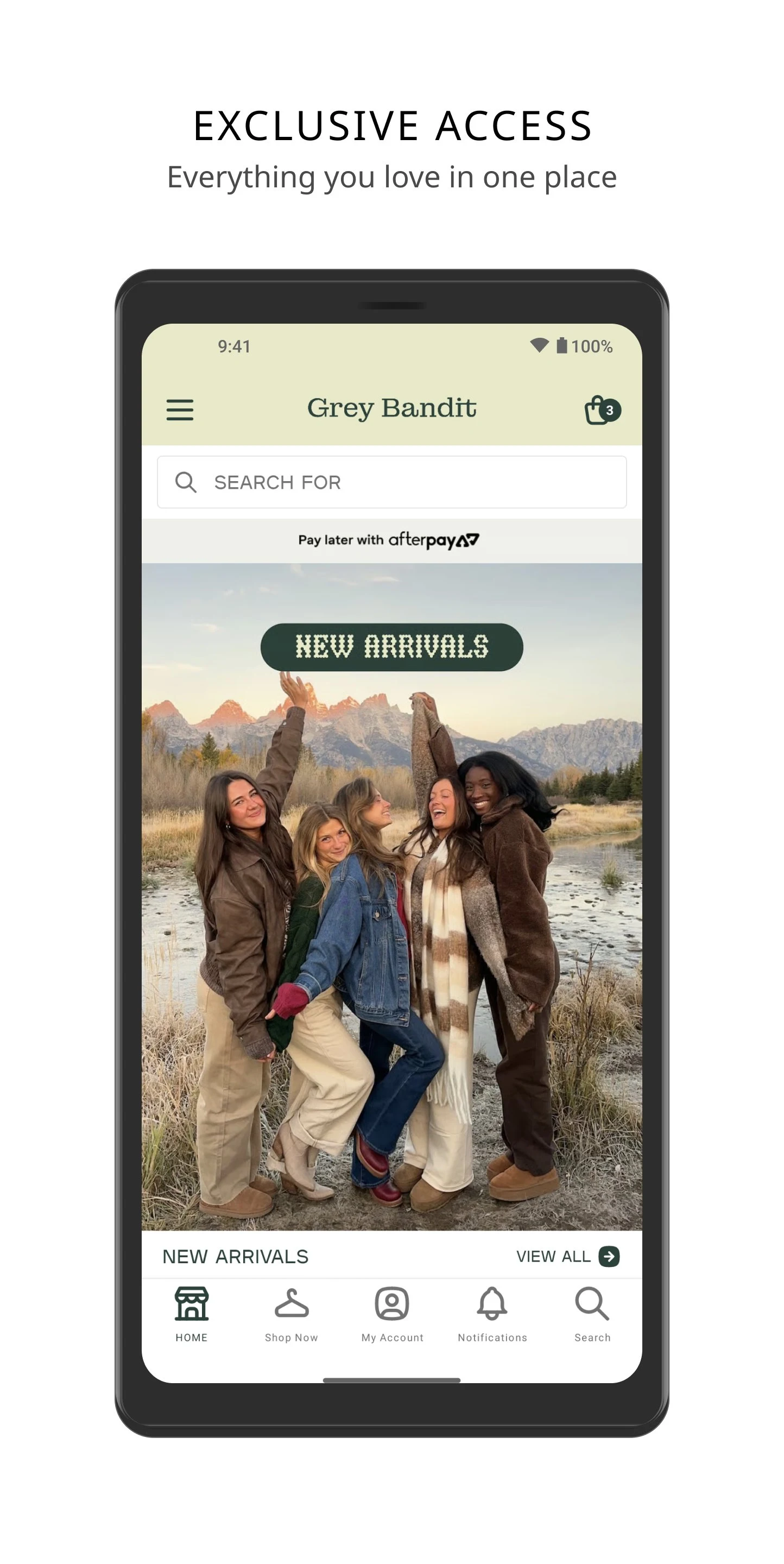 Grey Bandit screenshot